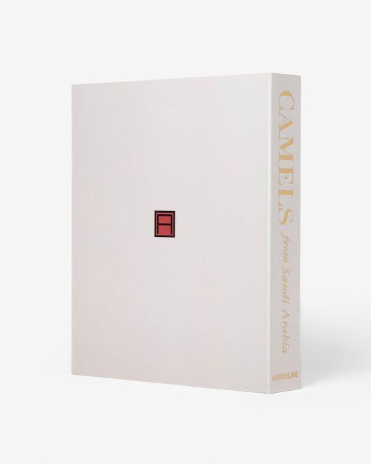 Camels from Saudi Arabia