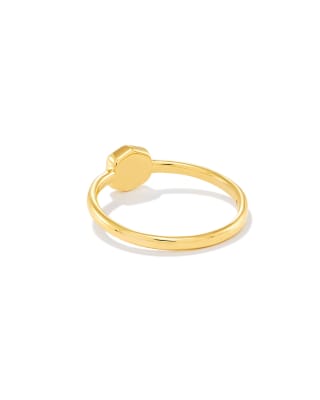 Davie 18k Gold Vermeil Band Ring in Turquoise 196088015071