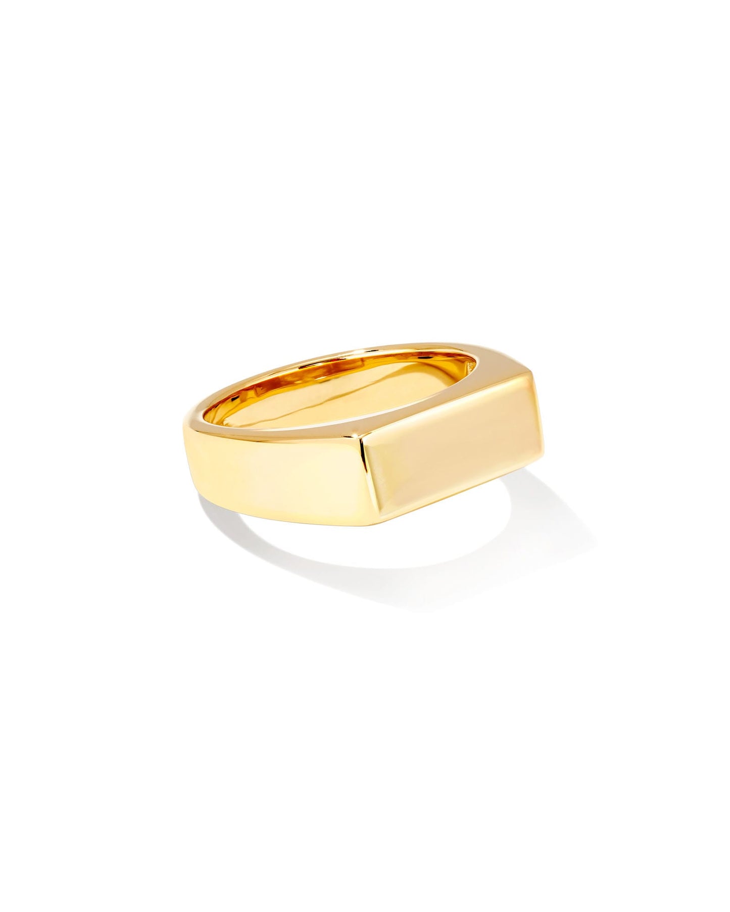 Hudson Signet Ring in 18k Gold Vermeil 196088025797