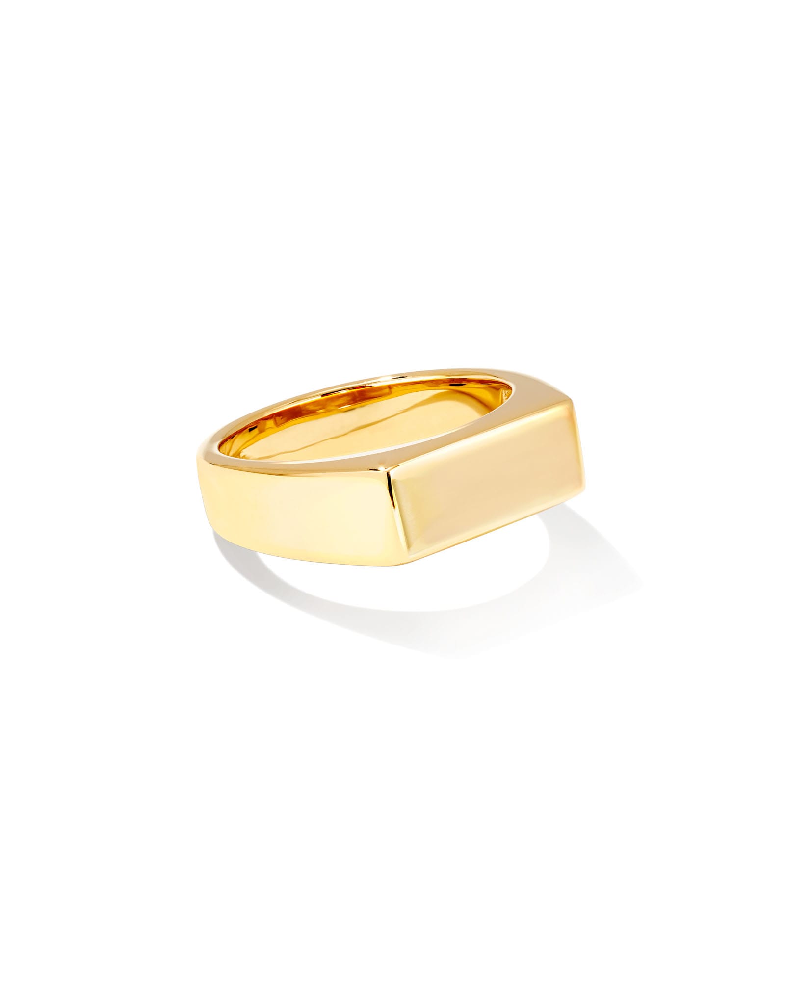 Hudson Signet Ring in 18k Gold Vermeil 196088025797