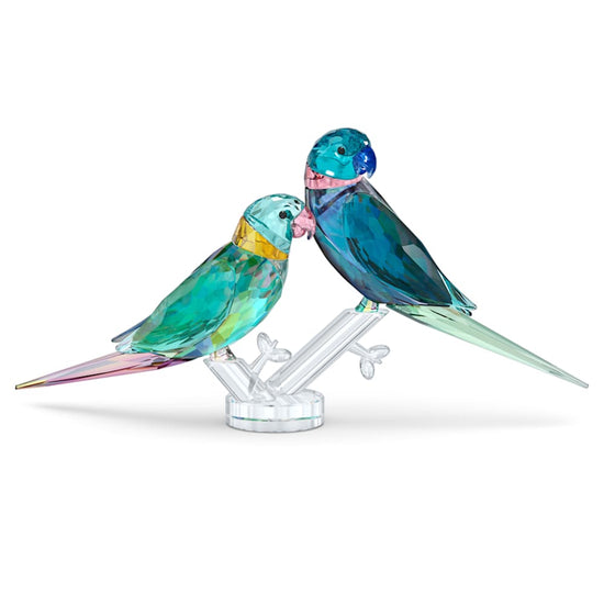 Swarovski Jungle Beats Parakeet Couple Fife & Fifer CRYSTALS Multicolored